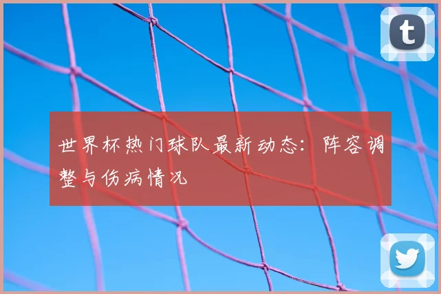 世界杯热门球队最新动态:阵容调整与伤病情况