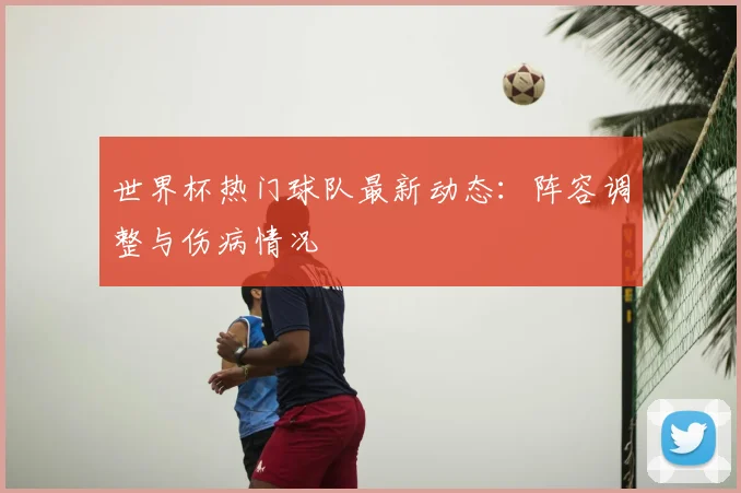 世界杯热门球队最新动态：阵容调整与伤病情况